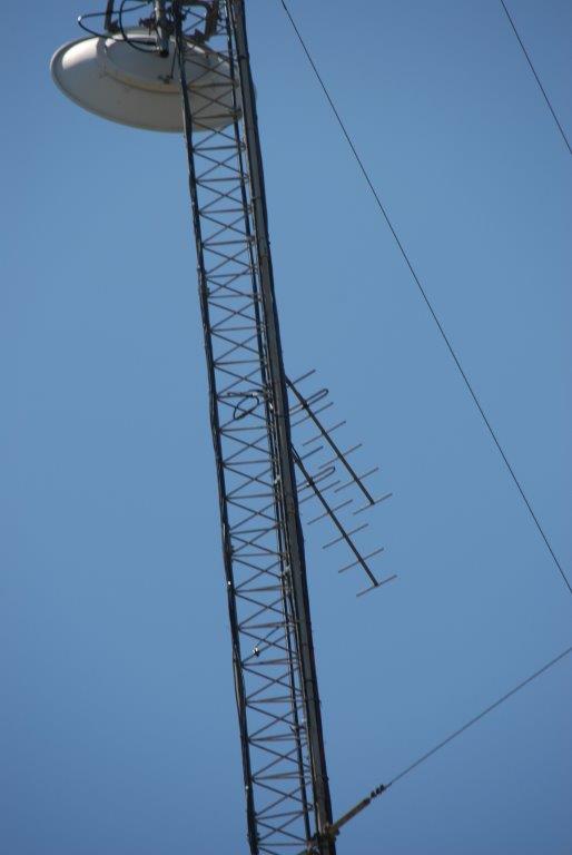 BKT Link 2 Antenna PANDALE  7_17